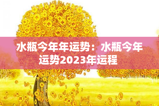 水瓶今年年运势：水瓶今年运势2023年运程 