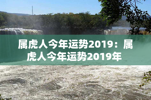 属虎人今年运势2019：属虎人今年运势2019年 