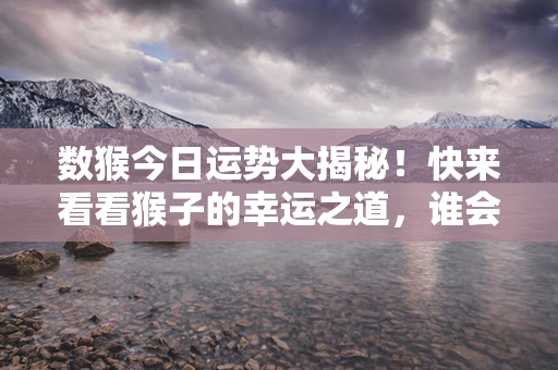 数猴今日运势大揭秘！快来看看猴子的幸运之道，谁会成为巨富？！