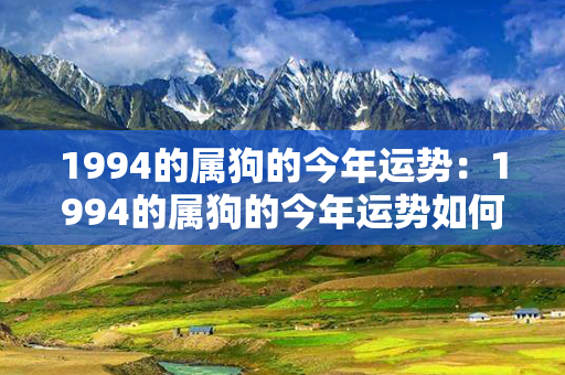 1994的属狗的今年运势：1994的属狗的今年运势如何 