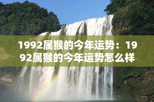 1992属猴的今年运势：1992属猴的今年运势怎么样 