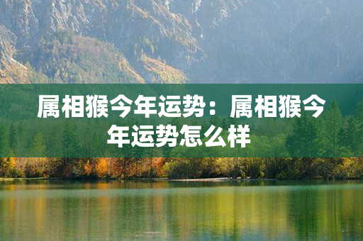 属相猴今年运势：属相猴今年运势怎么样 