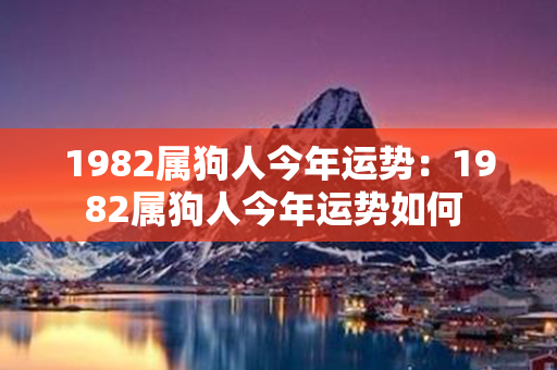 1982属狗人今年运势：1982属狗人今年运势如何 