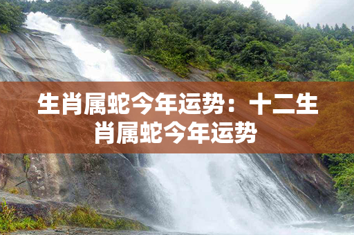 生肖属蛇今年运势：十二生肖属蛇今年运势 