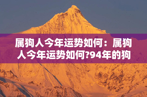 属狗人今年运势如何：属狗人今年运势如何?94年的狗 