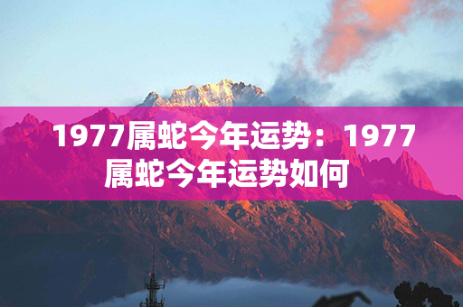 1977属蛇今年运势：1977属蛇今年运势如何 