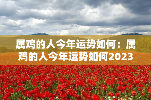 属鸡的人今年运势如何：属鸡的人今年运势如何2023 