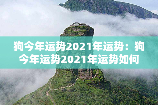 狗今年运势2021年运势：狗今年运势2021年运势如何 