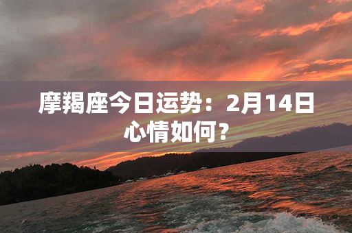 摩羯座今日运势：2月14日心情如何？