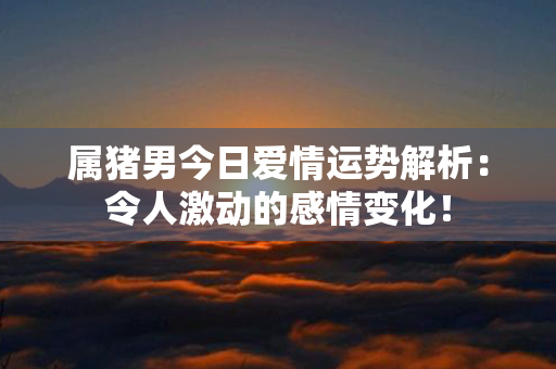 属猪男今日爱情运势解析：令人激动的感情变化！