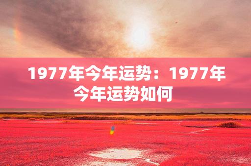 1977年今年运势：1977年今年运势如何 