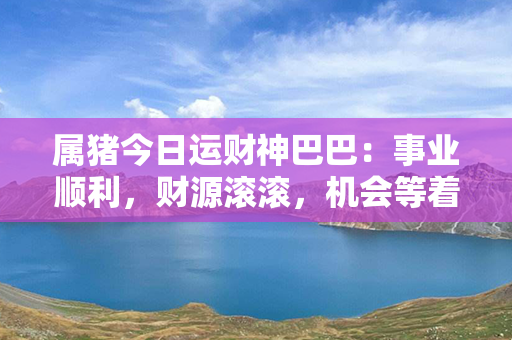 属猪今日运财神巴巴：事业顺利，财源滚滚，机会等着你!