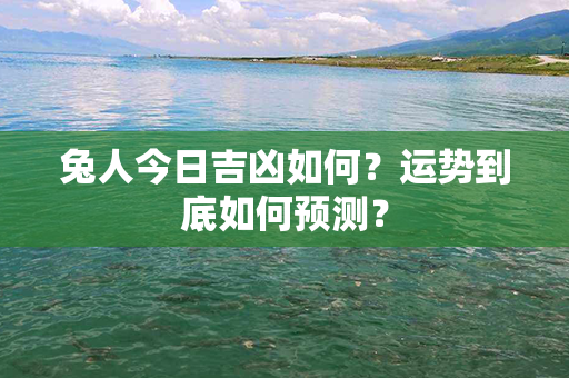 兔人今日吉凶如何？运势到底如何预测？