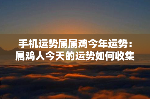 手机运势属属鸡今年运势：属鸡人今天的运势如何收集手机 