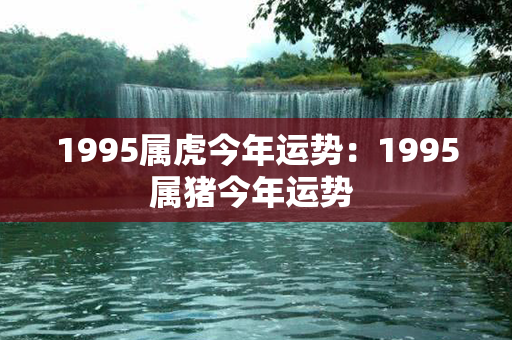 1995属虎今年运势：1995属猪今年运势 