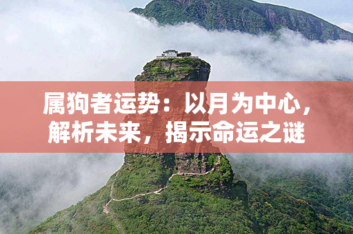 属狗者运势：以月为中心，解析未来，揭示命运之谜