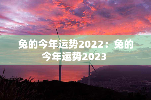 兔的今年运势2022：兔的今年运势2023 