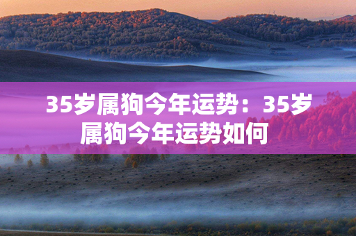 35岁属狗今年运势：35岁属狗今年运势如何 