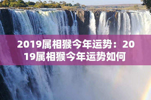 2019属相猴今年运势：2019属相猴今年运势如何 