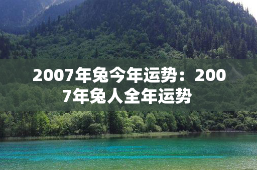 2007年兔今年运势：2007年兔人全年运势 