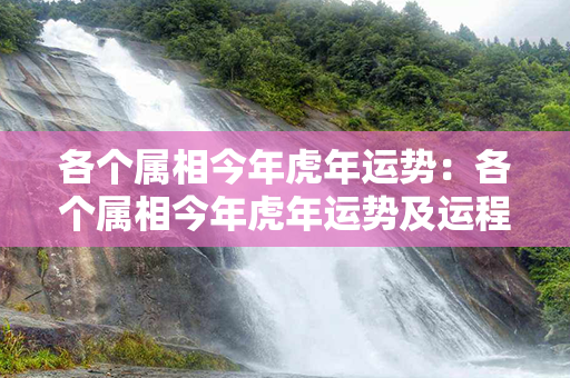 各个属相今年虎年运势：各个属相今年虎年运势及运程 