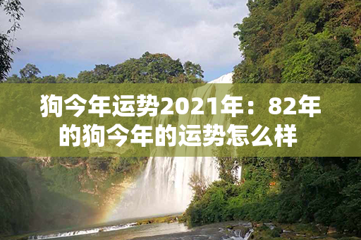 狗今年运势2021年：82年的狗今年的运势怎么样 