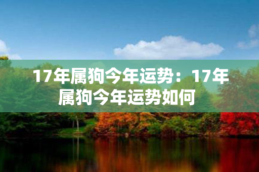 17年属狗今年运势：17年属狗今年运势如何 