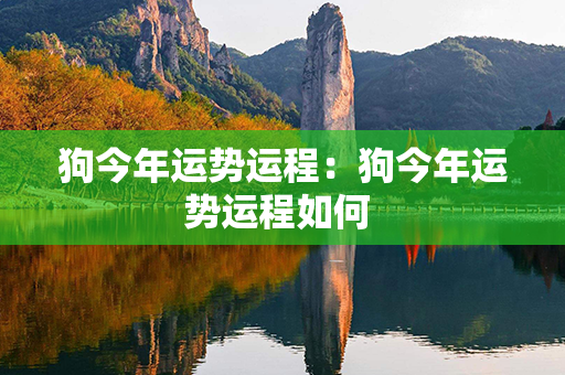 狗今年运势运程：狗今年运势运程如何 