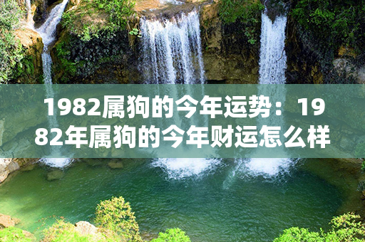 1982属狗的今年运势：1982年属狗的今年财运怎么样 