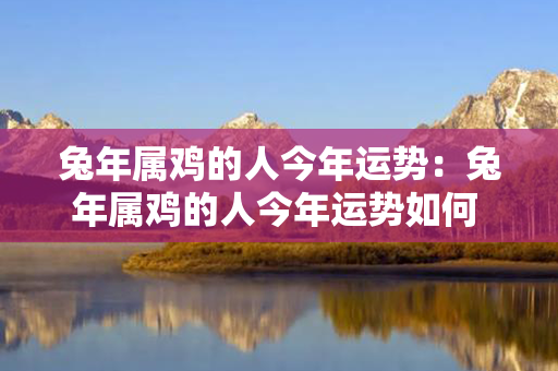 兔年属鸡的人今年运势：兔年属鸡的人今年运势如何 