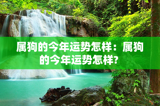 属狗的今年运势怎样：属狗的今年运势怎样? 