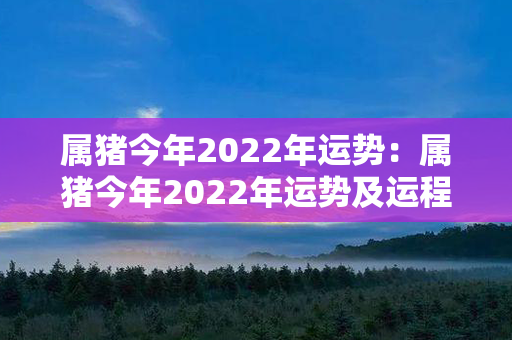 属猪今年2022年运势：属猪今年2022年运势及运程 