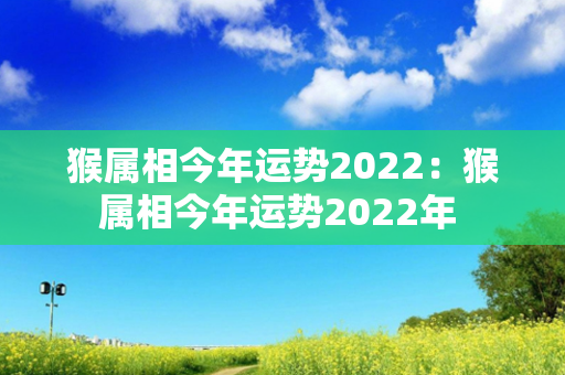 猴属相今年运势2022：猴属相今年运势2022年 