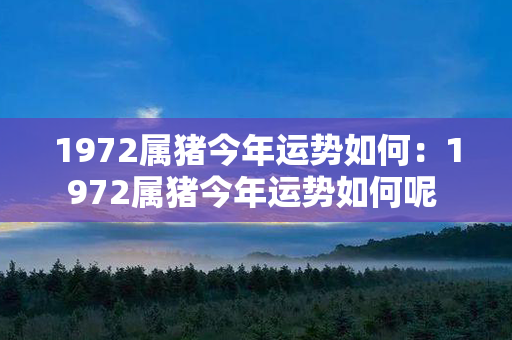 1972属猪今年运势如何：1972属猪今年运势如何呢 