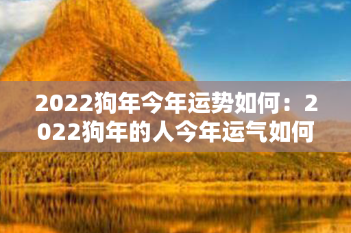 2022狗年今年运势如何：2022狗年的人今年运气如何 