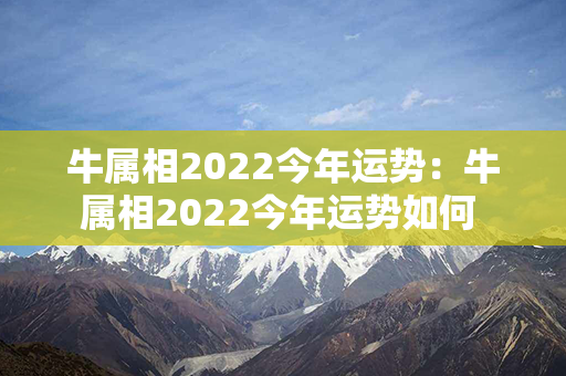 牛属相2022今年运势：牛属相2022今年运势如何 