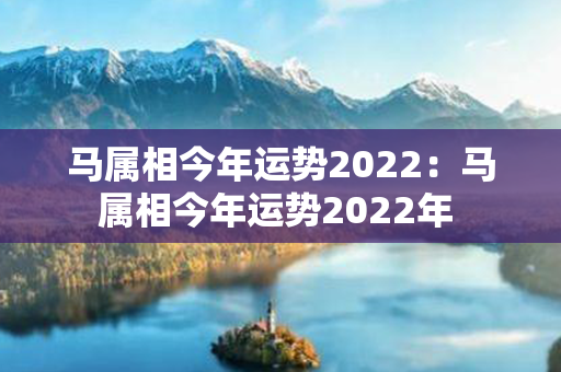 马属相今年运势2022：马属相今年运势2022年 