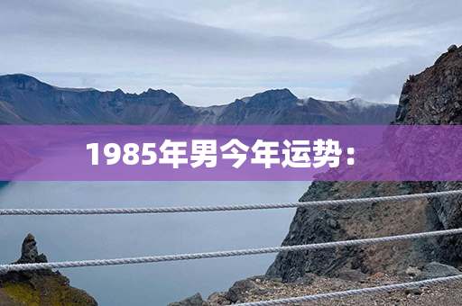 1985年男今年运势： 