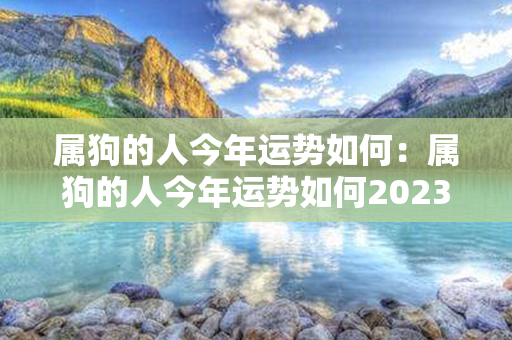 属狗的人今年运势如何：属狗的人今年运势如何2023 