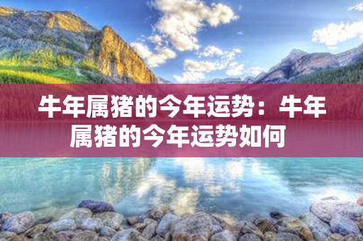 牛年属猪的今年运势：牛年属猪的今年运势如何 