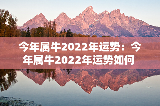 今年属牛2022年运势：今年属牛2022年运势如何 