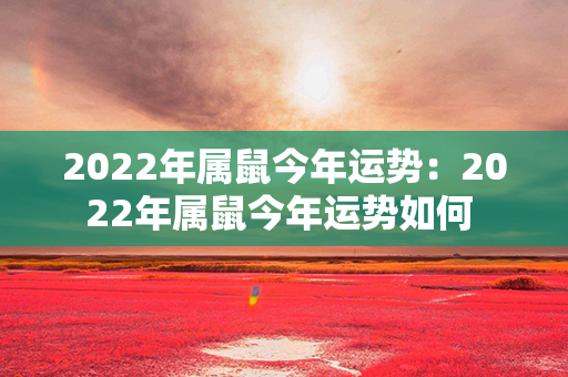 2022年属鼠今年运势：2022年属鼠今年运势如何 