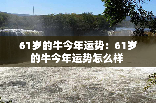 61岁的牛今年运势：61岁的牛今年运势怎么样 