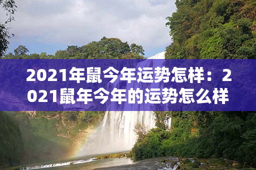 2021年鼠今年运势怎样：2021鼠年今年的运势怎么样 