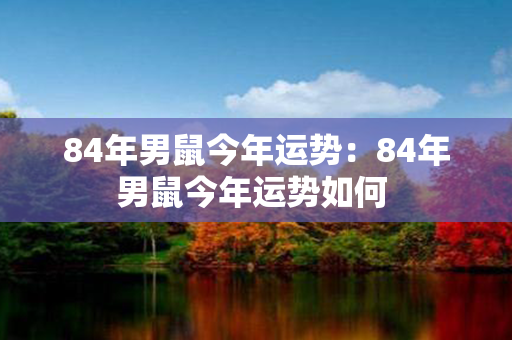 84年男鼠今年运势：84年男鼠今年运势如何 