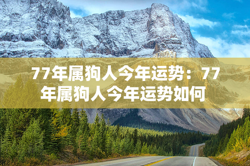 77年属狗人今年运势：77年属狗人今年运势如何 