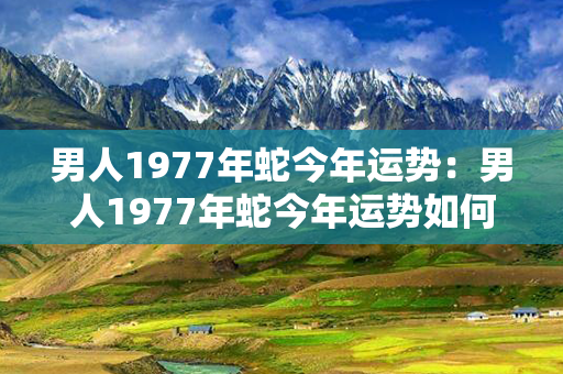 男人1977年蛇今年运势：男人1977年蛇今年运势如何 