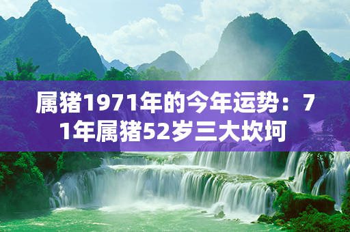 属猪1971年的今年运势：71年属猪52岁三大坎坷 