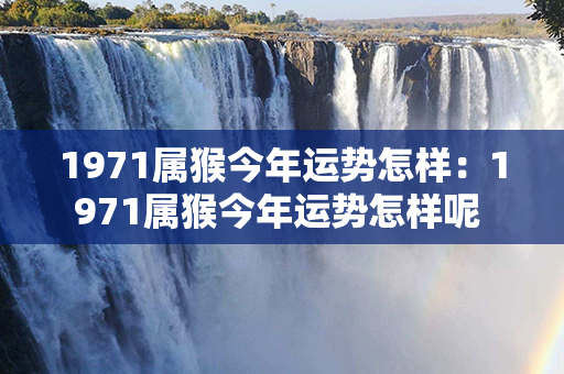 1971属猴今年运势怎样：1971属猴今年运势怎样呢 