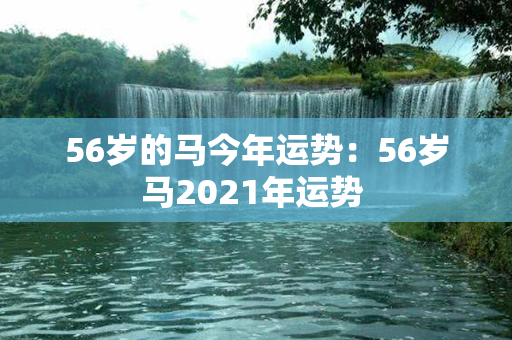 56岁的马今年运势：56岁马2021年运势 